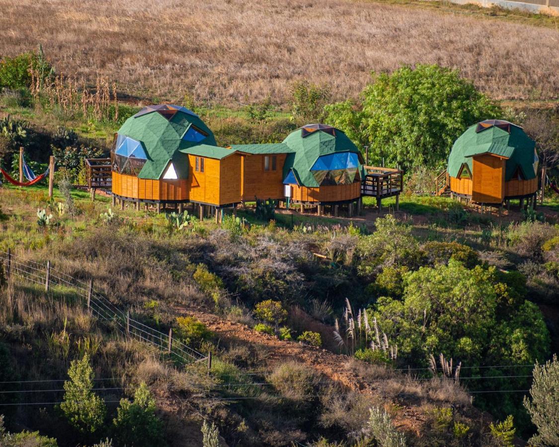 Los Nopales Glamping Сачика Экстерьер фото